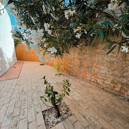 T2 Sobre A - Albufeira/olhos De Agua Holiday home Albufeira